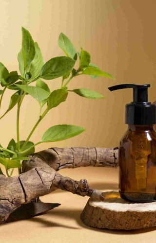 beautiful-still-life-with-herbal-medicine (1) beautiful-still-life-with-herbal-medicine (1)